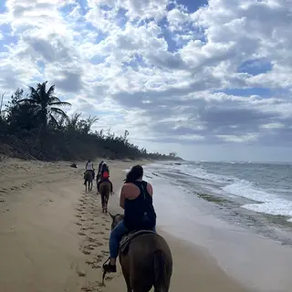 Horseback Riding in the Beach and Tropical Forest of Isabela near Paradise Beach Home in Isabela, Puerto Rico