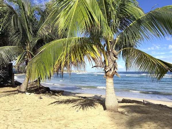 Best Beaches in Isabela for Families, Surf Days, and Sunset Walks guide for Isabela, Puerto Rico travelers