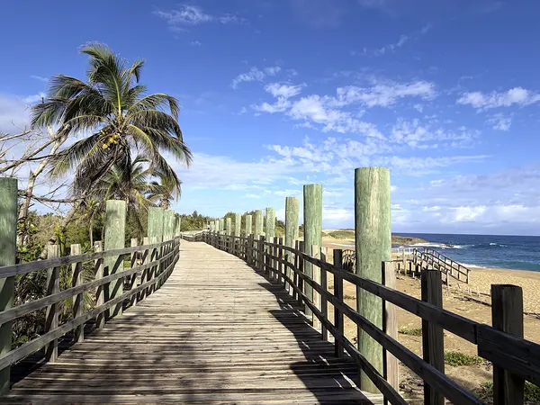 Walking the Paseo Tablado de Jobos guide for Isabela, Puerto Rico travelers